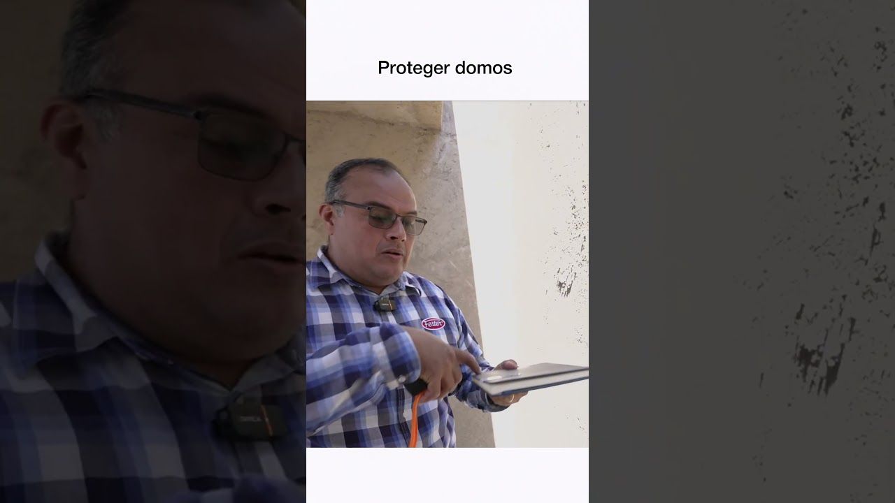 ASESORÍA PROFESIONAL FESTER PAREDES